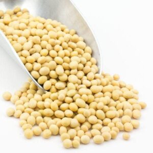 Buy Soybean for sale – Bulk Organic Soya wholesale supplier