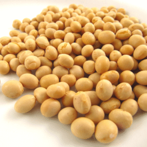 Soybean Meal for sale – Organic Soybeans Meal 43% 63% bulk supplier